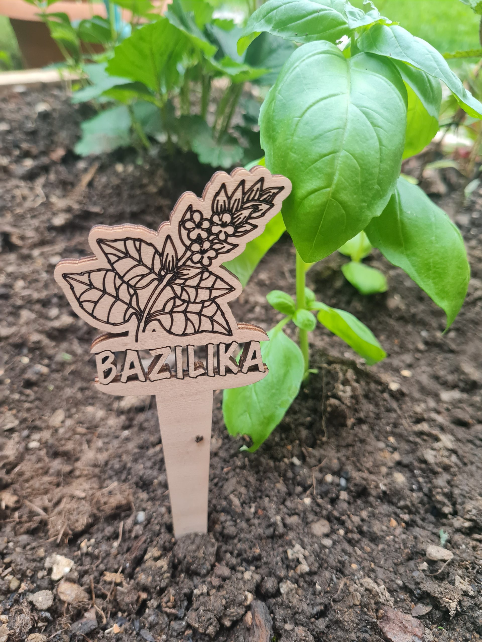 OZNAČEVALNIKI ZELENJAVE - slika 8